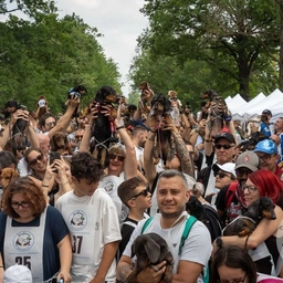 Cosa fare questo weekend in Lombardia: tutti i migliori eventi del 6, 7 e 8 giugno provincia per provincia