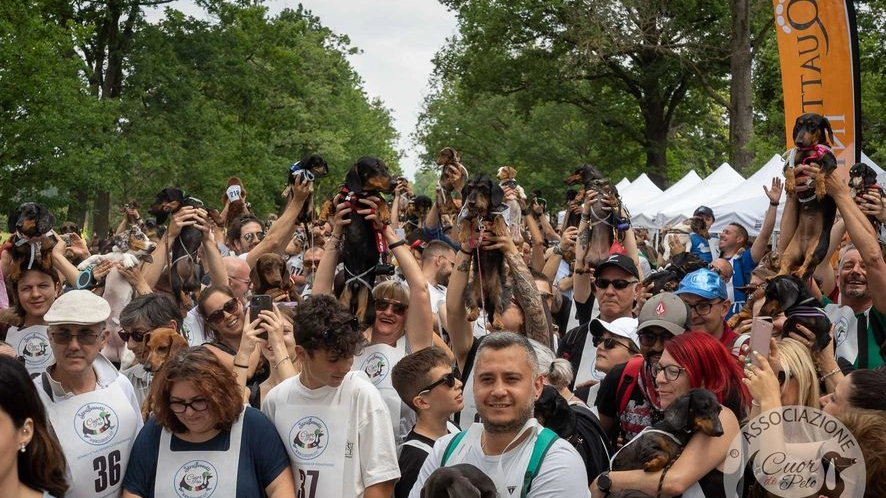 StraBassotti: la marcia podistica dedicata ai bassotti a Monza