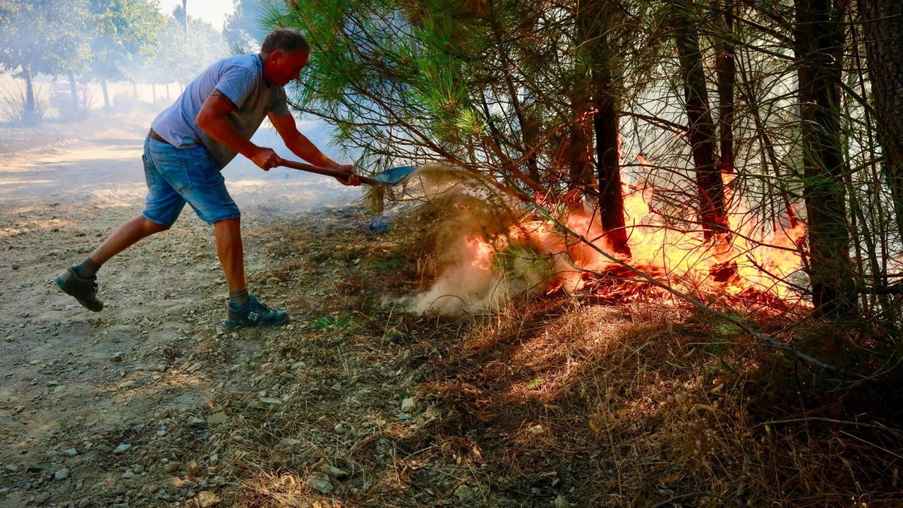 Dalla fine di luglio, secondo la Protezione civile