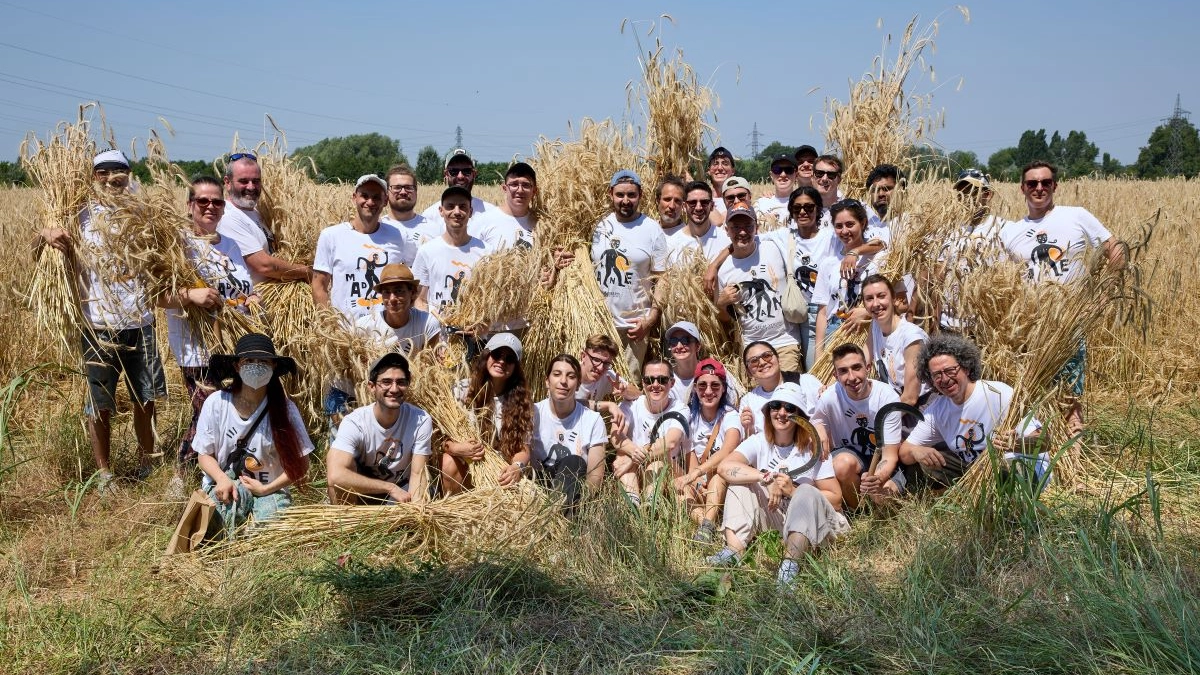 Lezioni universitari al Circolino del pane di Davide Longoni Lezioni universitari al Circolino del pane di Davide Longoni