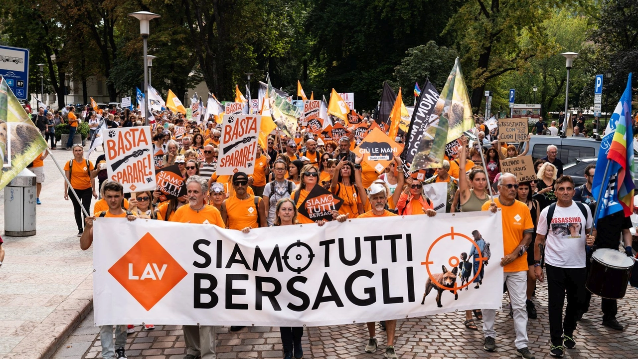 Tante le manifestazioni contro la revisione dei criteri sulla caccia, la battaglia sul calendario venatorio continua in sede legale dopo la sentenza del Tar Tante le manifestazioni contro la revisione dei criteri sulla caccia, la battaglia sul calendario venatorio continua in sede legale dopo la sentenza del Tar