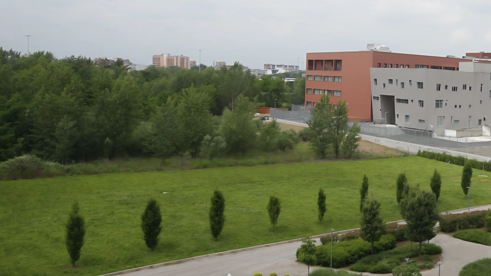 La Regione tutela il bosco spontaneo alle spalle del Polo istituzionale che quindi non potrà essere eliminato per fare posto... La Regione tutela il bosco spontaneo alle spalle del Polo istituzionale che quindi non potrà essere eliminato per fare posto...