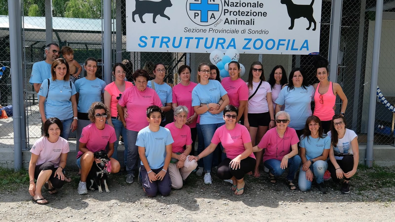 I volontari del rifugio Enpa di Montagna in Valtellina cui è stato imposto dal giudice di tagliare gli ospiti da 15 a 5 dopo la denuncia di una vicina In 12 ore già raccolte 1.500 firme solidali