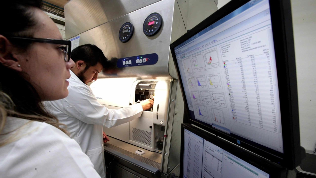 Le biopsie sono di fondamentale importanza per le diagnosi e seguire l'evoluzione di una patologia, ma sono anche molto invasive e dolorose Le biopsie sono di fondamentale importanza per le diagnosi e seguire l'evoluzione di una patologia, ma sono anche molto invasive e dolorose