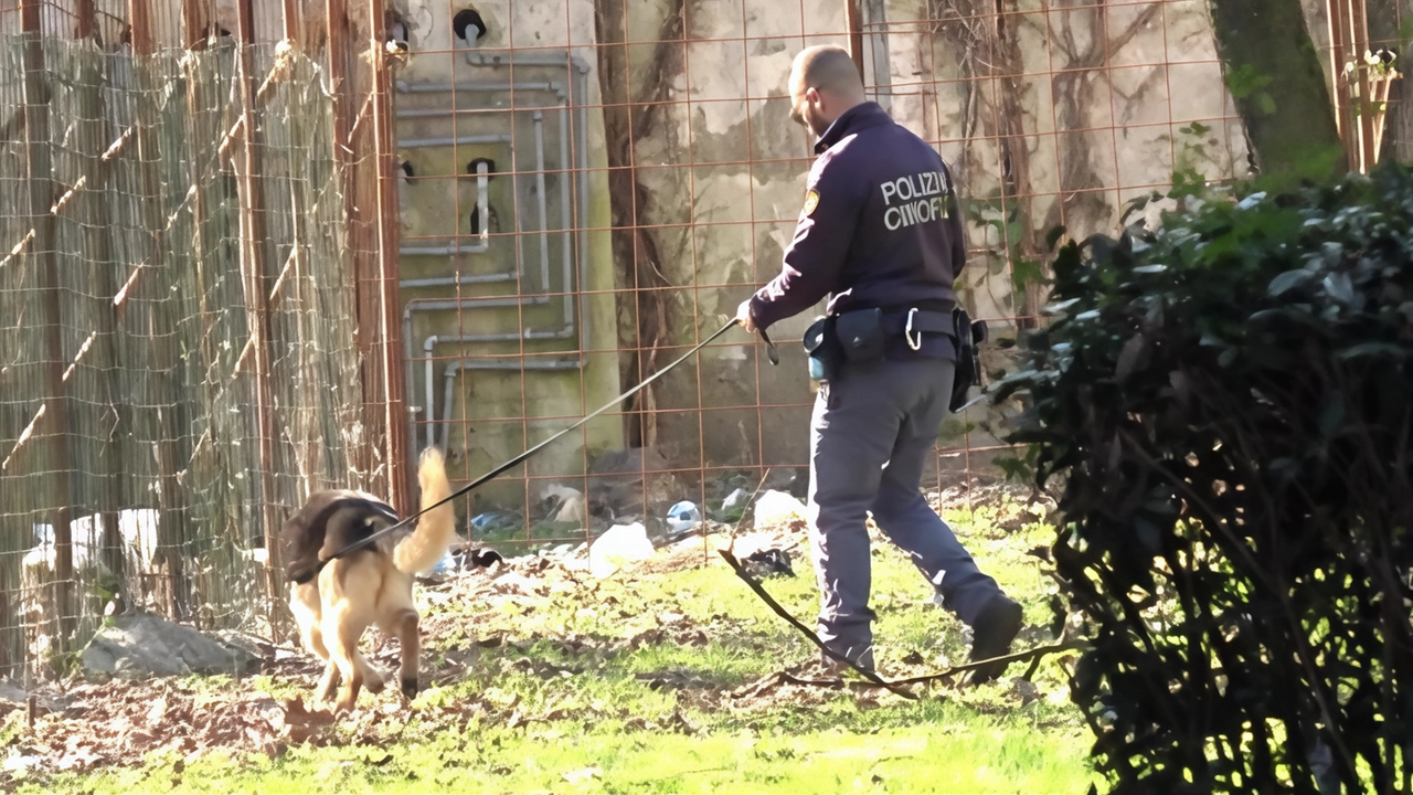 Polizia al lavoro nei pressi dell’ex area industriale e dello scalo ferroviario, ottanta le persone controllate. Sotto la lente degli agenti anche tre attività commerciali: scovati e sequestrati oltre 11 grammi hashish. Polizia al lavoro nei pressi dell’ex area industriale e dello scalo ferroviario, ottanta le persone controllate. Sotto la lente degli agenti anche tre attività commerciali: scovati e sequestrati oltre 11 grammi hashish.