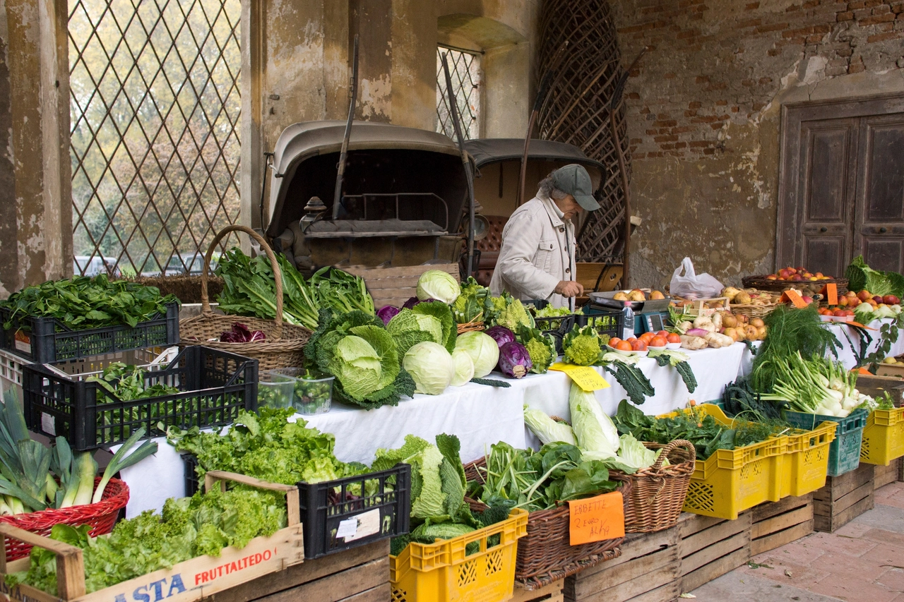 Castello di Padernello. Mercato della Terra. Foto di Virginio Gilberti