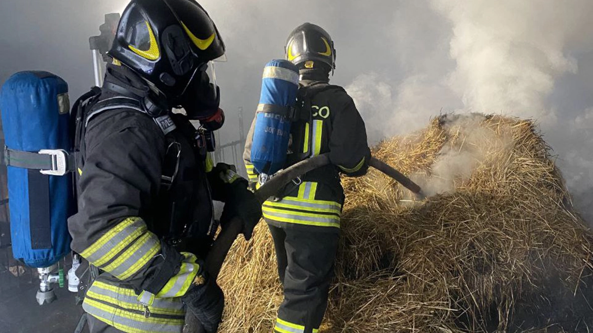 L'intervento dei vigili del fuoco all'interno della stalla per estinguere l'incendio L'intervento dei vigili del fuoco all'interno della stalla per estinguere l'incendio