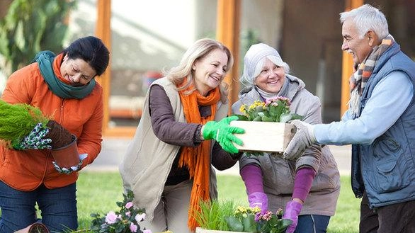Il progetto "Ccc per una comunità di cooperazione e condivisione" offre attività e sportelli per over 60 in diverse località, finanziato da Fondazione comunitaria Nord Milano onlus. Corsi come "CreativaMente" e "Coltiviamo il divertimento" promuovono il benessere e la socializzazione. Il progetto "Ccc per una comunità di cooperazione e condivisione" offre attività e sportelli per over 60 in diverse località, finanziato da Fondazione comunitaria Nord Milano onlus. Corsi come "CreativaMente" e "Coltiviamo il divertimento" promuovono il benessere e la socializzazione.