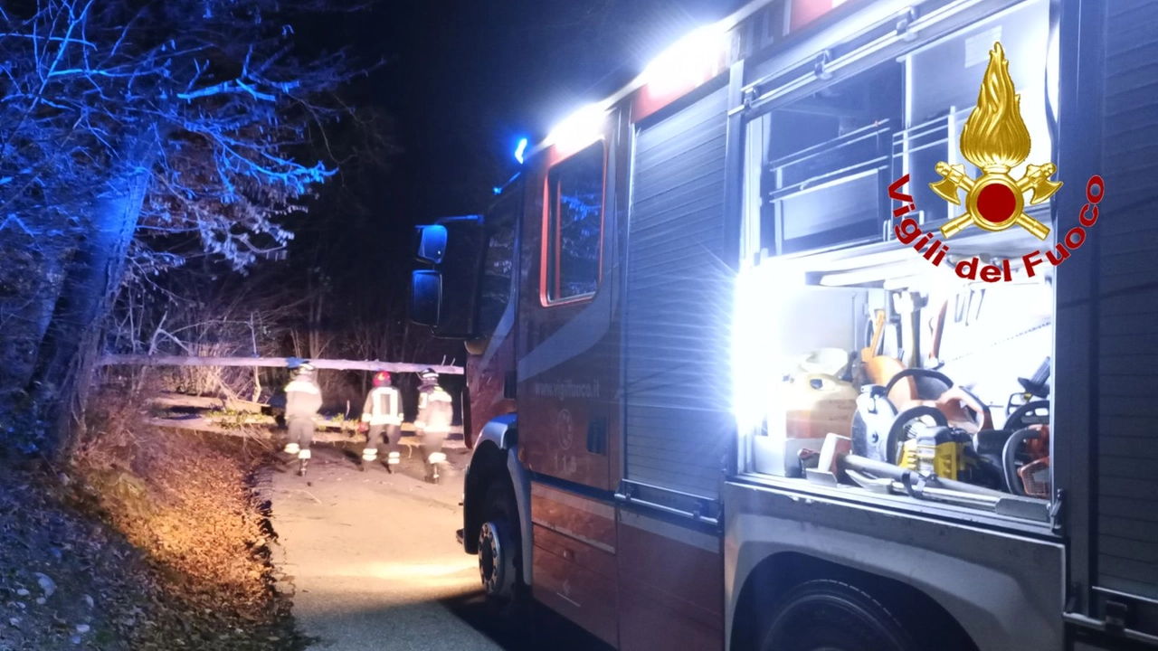 Forte vento: alberi in strada in provincia di Varese. Decine di interventi dei vigili del fuoco Forte vento: alberi in strada in provincia di Varese. Decine di interventi dei vigili del fuoco