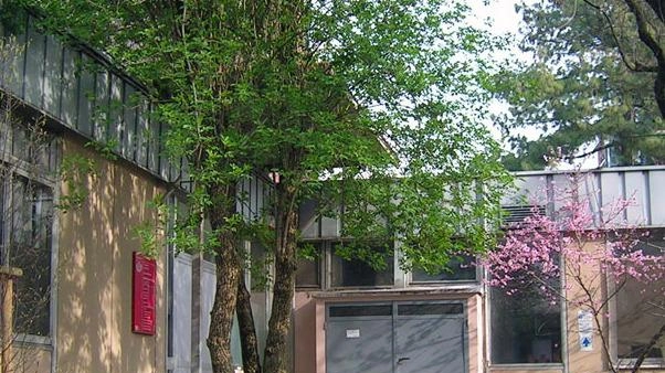 Il giardino esterno alla biblioteca di via Fra Cristoforo Il giardino esterno alla biblioteca di via Fra Cristoforo