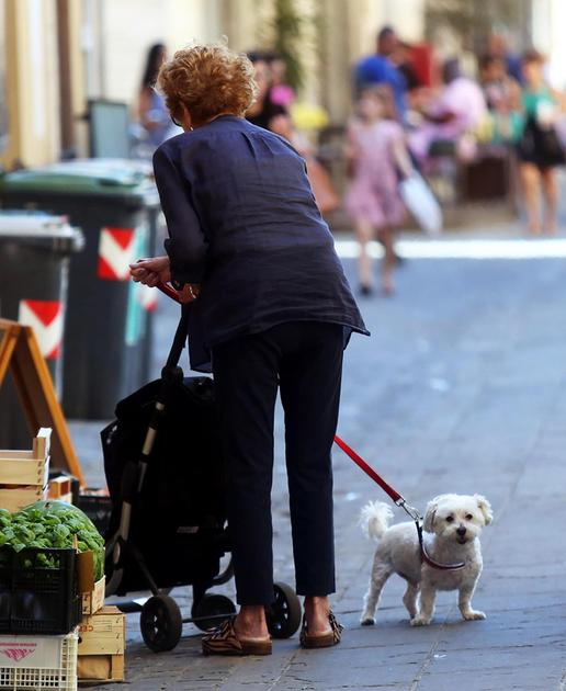 A spasso insieme a Fido. Obbligo di bottiglietta d’acqua per i proprietari dei cani