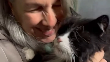 L’incredibile caso del gatto Anselmo-Maduk: la storia del micio ritrovato dopo 19 anni lontano da casa (e il potere di un video virale)