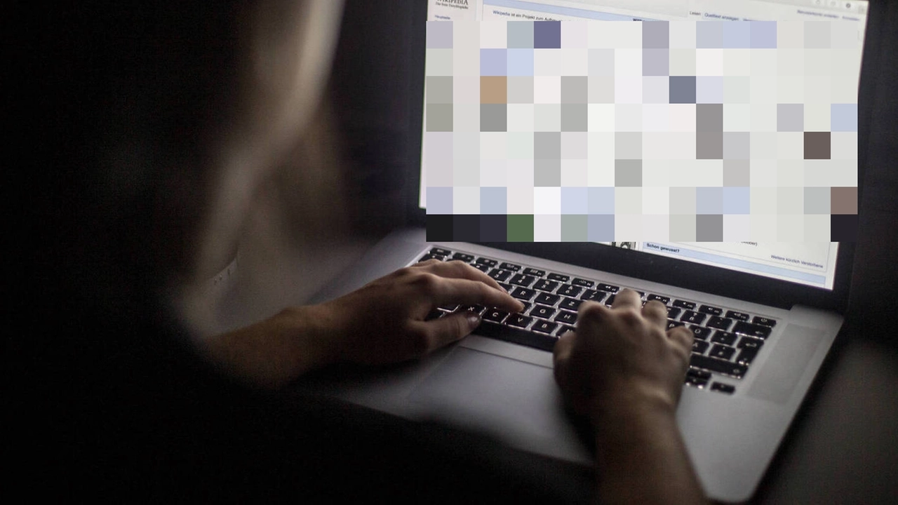 La donna avrebbe effettuato bonifici dalle piattaforme in uso alla scuola ai suoi conti La donna avrebbe effettuato bonifici dalle piattaforme in uso alla scuola ai suoi conti