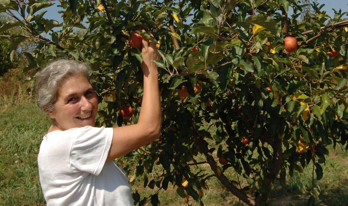 Prodotti della terra a Marchio Adda: "Il progetto arriverà al traguardo" Prodotti della terra a Marchio Adda: "Il progetto arriverà al traguardo"
