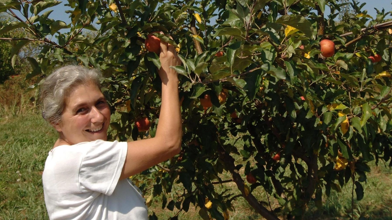 Nel progetto prevista la collaborazione di Comuni, associazioni agricole e aziende Nel progetto prevista la collaborazione di Comuni, associazioni agricole e aziende
