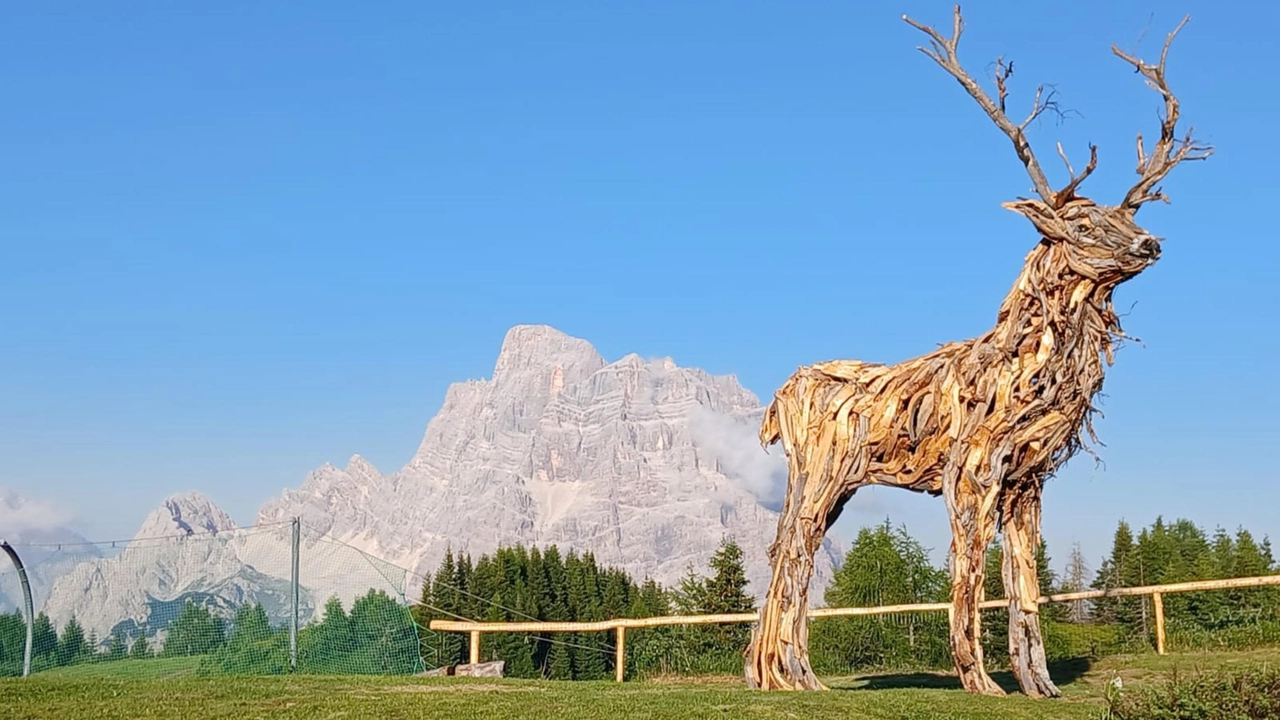 Fuga dal caldo in montagna? Ecco 10 cime delle Alpi alla portata di tutti