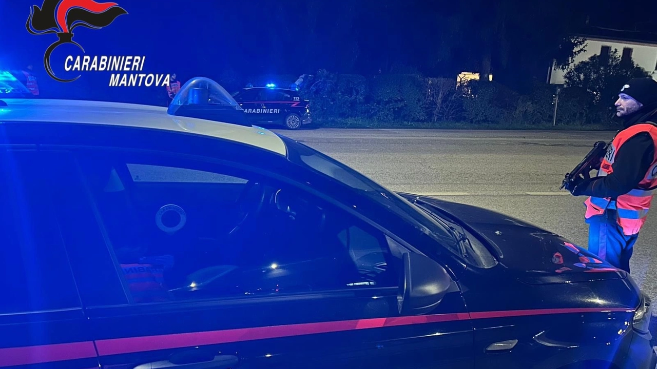 I carabinieri hanno denunciato il 40enne I carabinieri hanno denunciato il 40enne