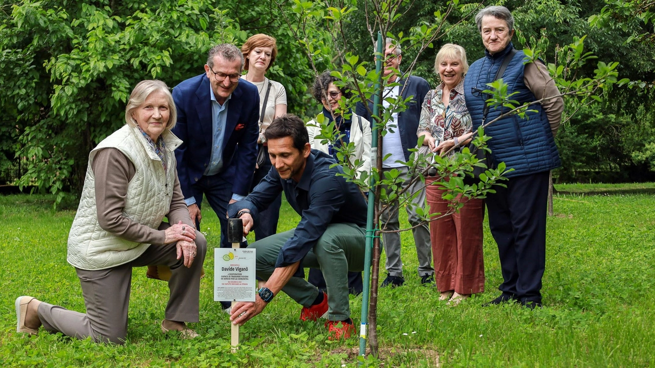 Accanto agli alberi da frutto collocate targhe con nomi e storie raccolte nelle scuole Accanto agli alberi da frutto collocate targhe con nomi e storie raccolte nelle scuole