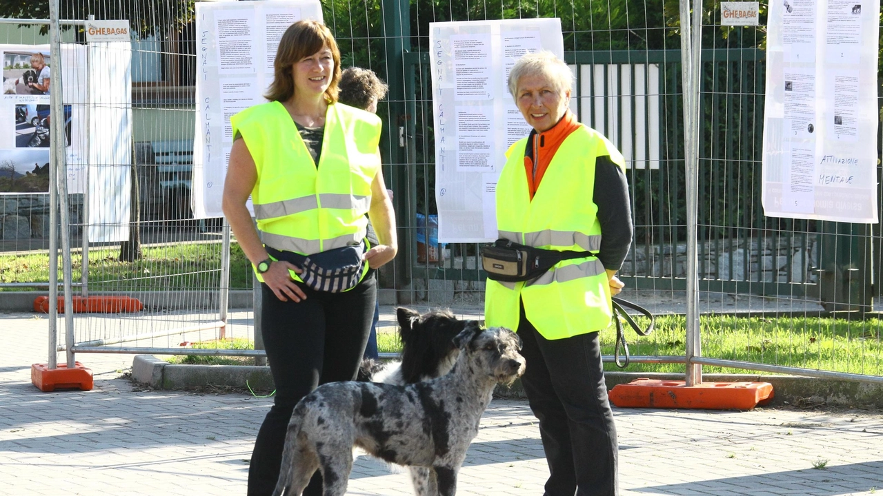 “La spesa che fa bene“ fa contente l’Enpa di Sondrio e altre 249 associazioni: Iperal e la Fondazione AG&B Tirelli... “La spesa che fa bene“ fa contente l’Enpa di Sondrio e altre 249 associazioni: Iperal e la Fondazione AG&B Tirelli...