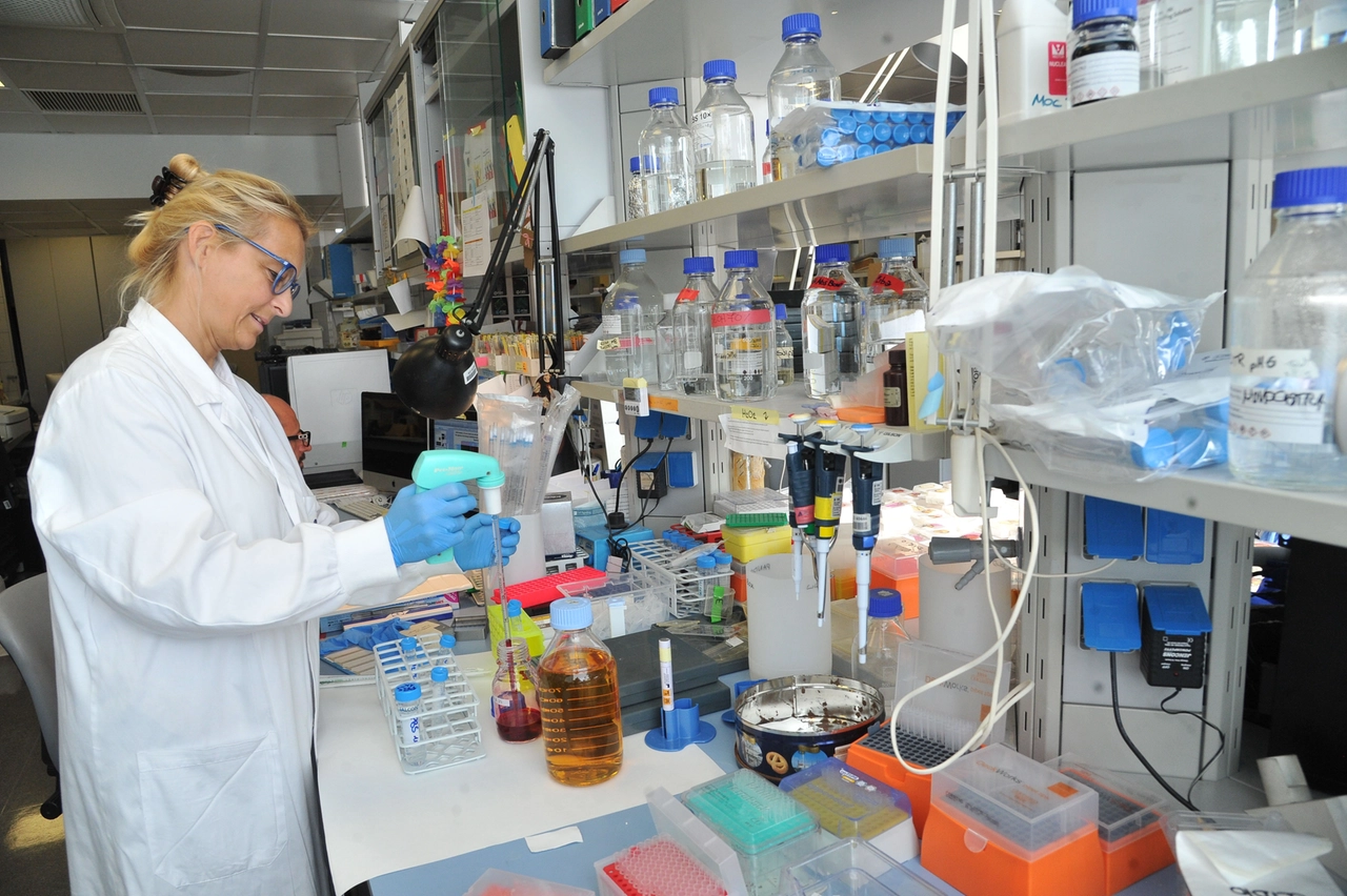 Una ricercatrice al lavoro in un laboratorio dello Ieo di Milano, centro di eccellenza internazionale per la lotta ai tumori