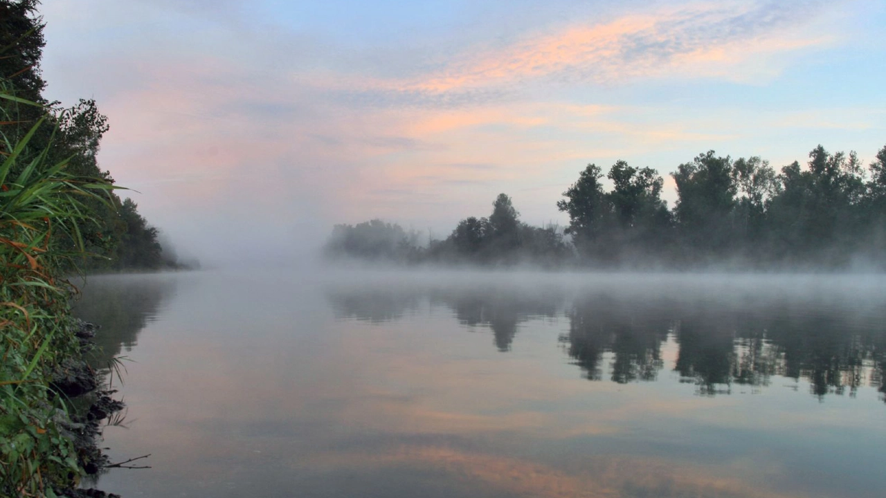 Uno scorcio suggestivo del fiume Ticino e della natura che lo circonda