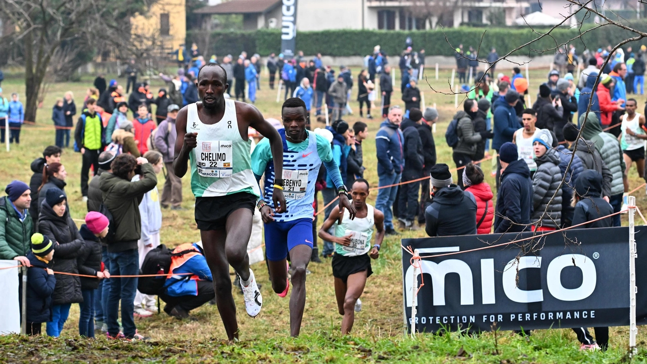 L’edizione 2024 del Campaccio di San Giorgio su Legnano, la gara lombarda è tra le più famose nel mondo della corsa campestre e ha visto negli anni la partecipazione dei più grandi campioni di questa disciplina L’edizione 2024 del Campaccio di San Giorgio su Legnano, la gara lombarda è tra le più famose nel mondo della corsa campestre e ha visto negli anni la partecipazione dei più grandi campioni di questa disciplina