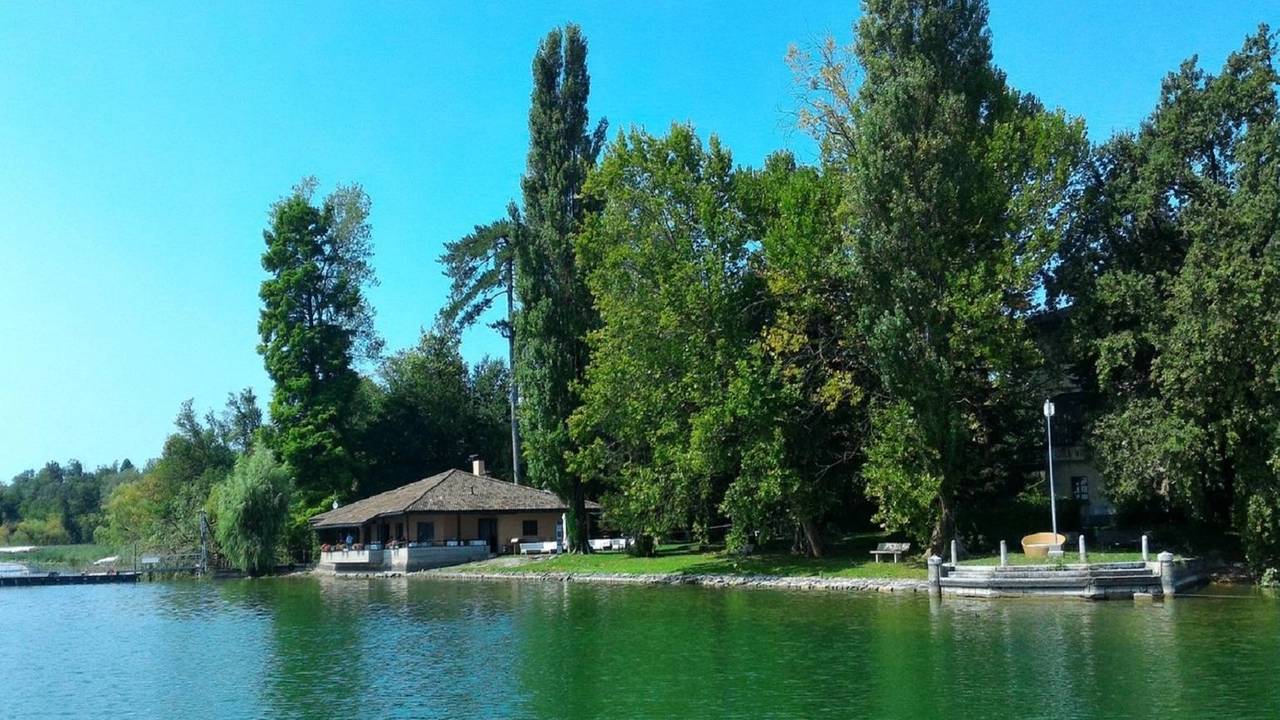 Aspettando i lavori l’Isolino Virginia grazie a Italia Nostra Varese è protagonista di tre giornate tra battelli archeologia e narrazione Aspettando i lavori l’Isolino Virginia grazie a Italia Nostra Varese è protagonista di tre giornate tra battelli archeologia e narrazione