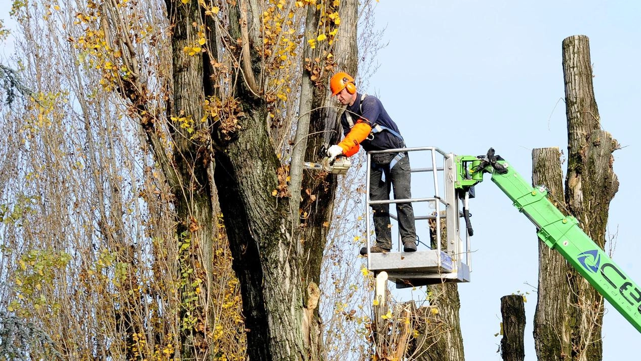 Sono terminate le attività di monitoraggio e le analisi strumentali da parte del Settore Ambiente del Comune e continuano... Sono terminate le attività di monitoraggio e le analisi strumentali da parte del Settore Ambiente del Comune e continuano...