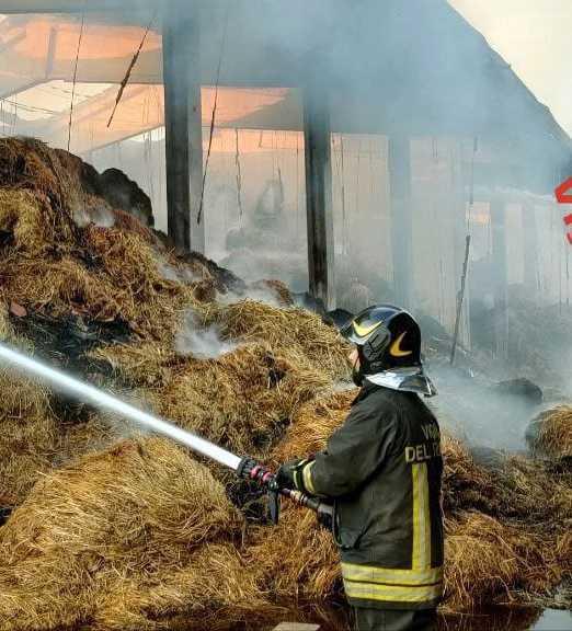incendio in una cascina animali messi in salvo