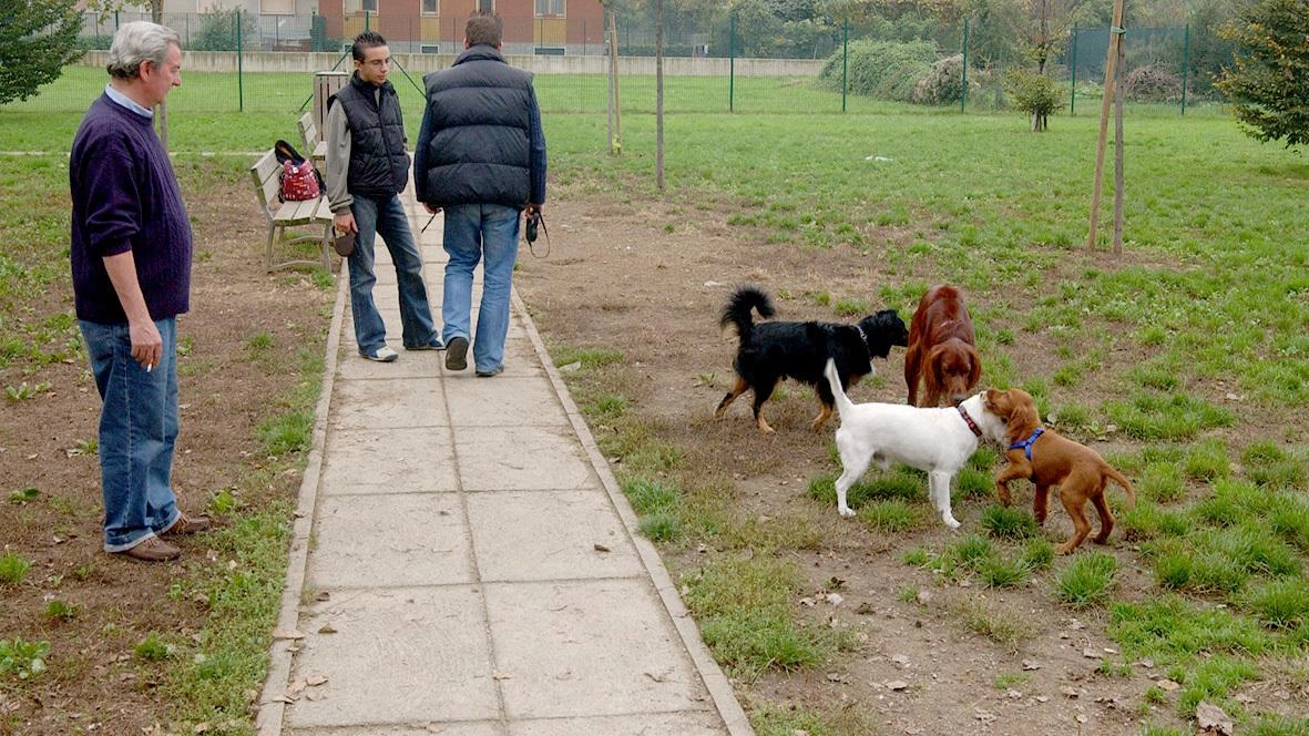 Le aree cani sono sempre più diffuse nelle città, anche se la richiesta è sempre superiore a quelle effettivamente disponibili sul territorio
