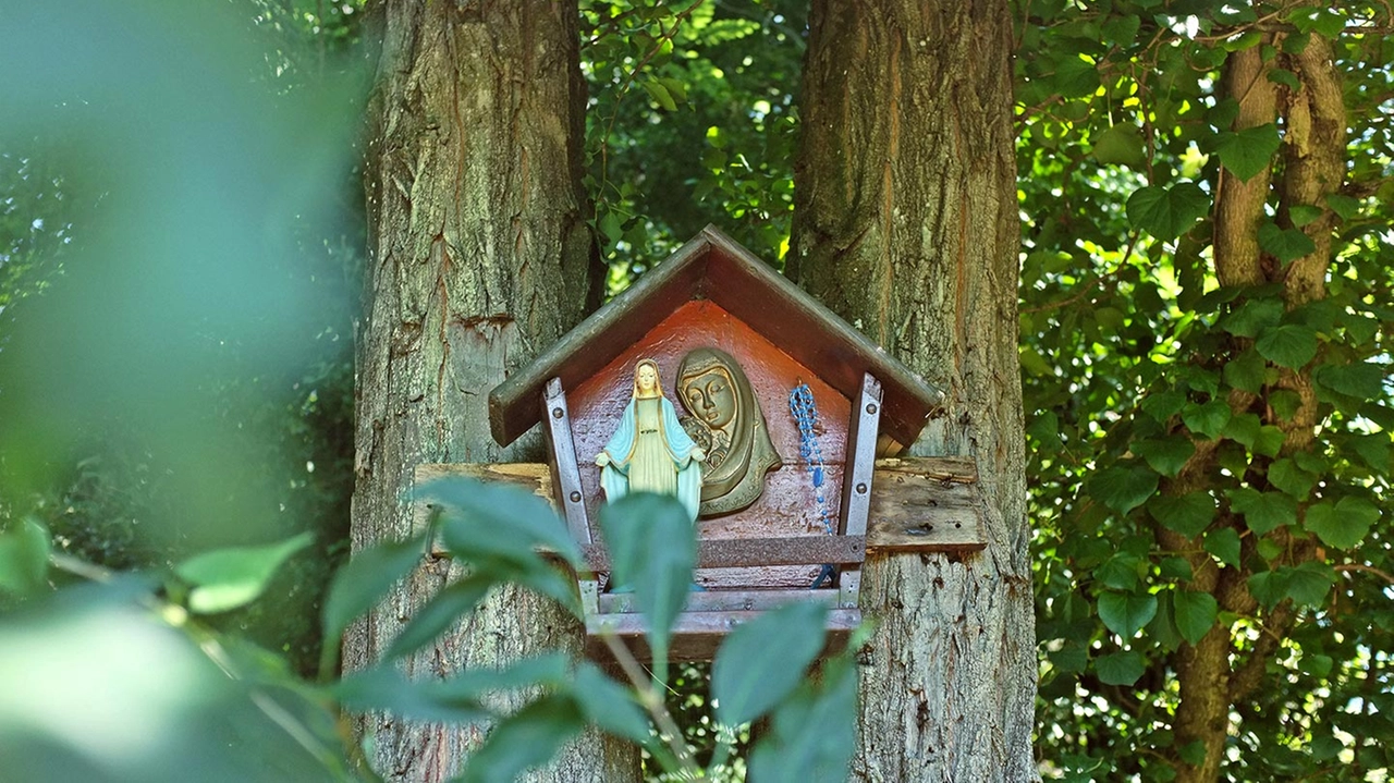 La statua di una Madonnina nel bosco (foto di repertorio) La statua di una Madonnina nel bosco (foto di repertorio)