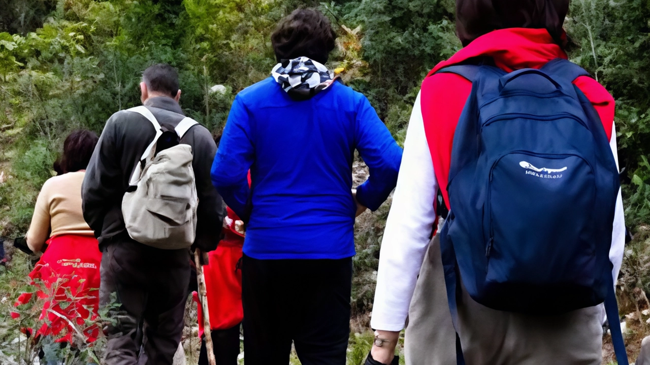 Promossa la proposta di camminare al mattino e dedicare il pomeriggio al lavoro .