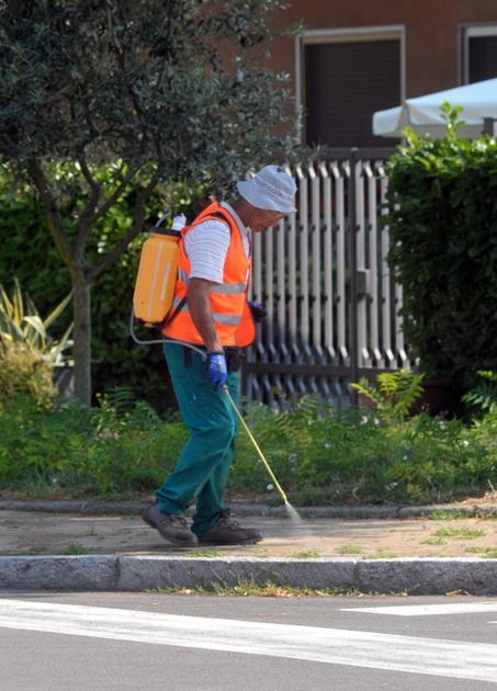 Caso sospetto di Dengue. Si disinfesta