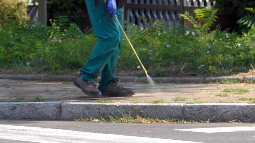 Un caso sospetto di Dengue, la malattia infettiva tropicale che si trasmette attraverso la puntura di zanzare infette, in...