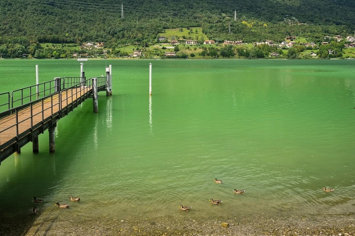 Perché l’acqua del lago d’Idro è verde da oltre un mese: si può fare il bagno?