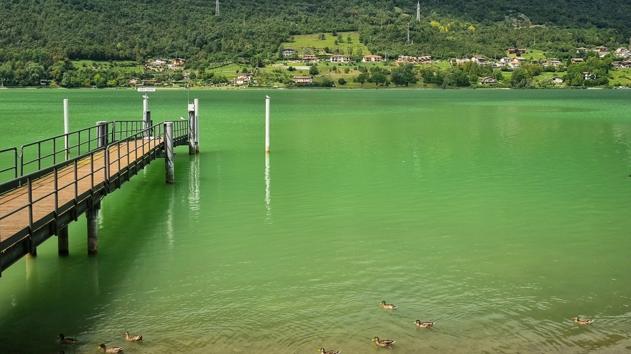 Il lago d'Idro tinto di verde (Facebook)