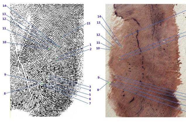 Impronta 33, è la chiave del delitto di Garlasco? Il mistero dell’intonaco sul muro. Cosa succede adesso Impronta 33, è la chiave del delitto di Garlasco? Il mistero dell’intonaco sul muro. Cosa succede adesso
