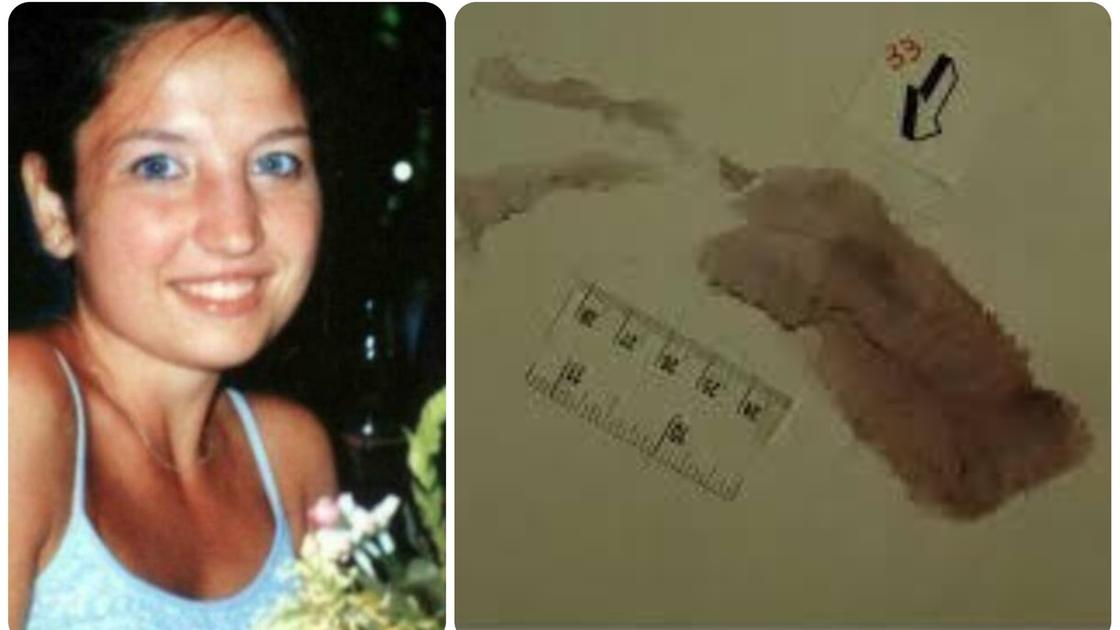 l8217impronta di sempio accanto al cadavere di chiara poggi 232 intrisa di sangue e sudore la consulenza della difesa di alberto stasi