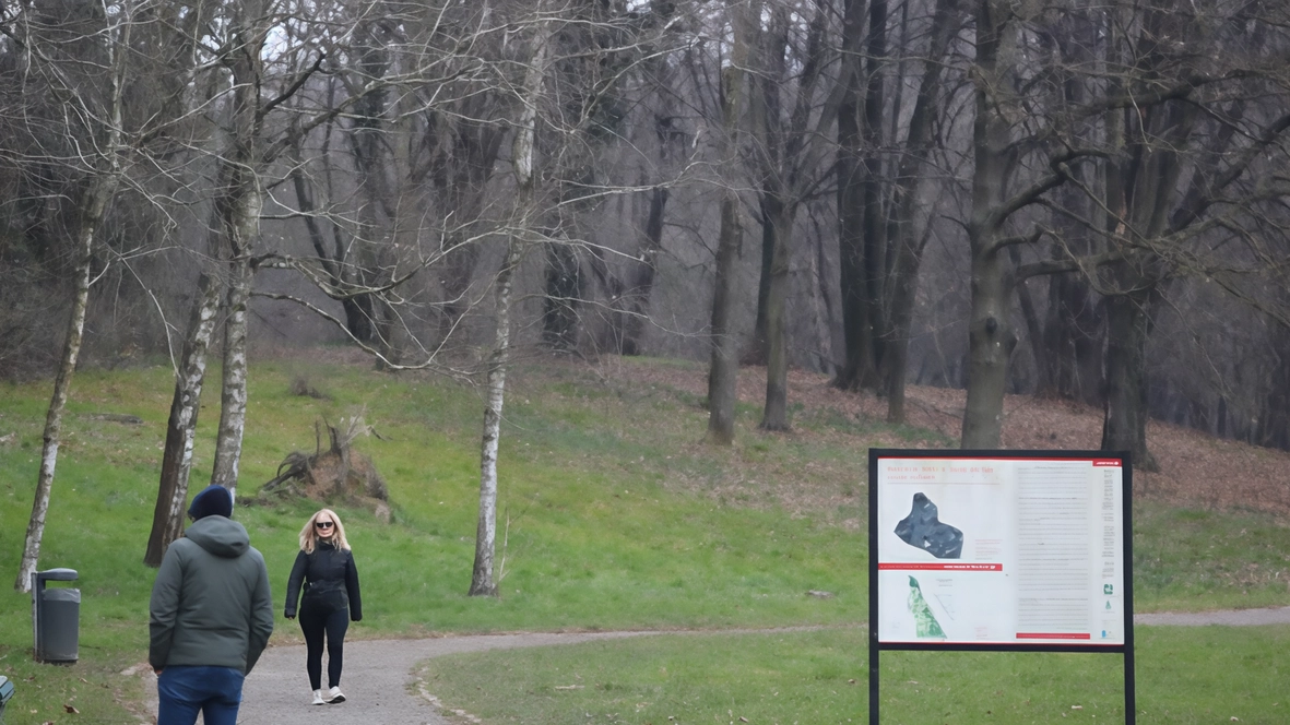 I proprietari di boschi concederanno in via temporanea i propri terreni in uso al Parco Pineta per realizzare interventi migliorativi I proprietari di boschi concederanno in via temporanea i propri terreni in uso al Parco Pineta per realizzare interventi migliorativi