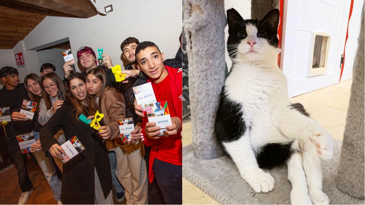 Mandorla è una delle gattine ospiti del rifugio. A destra, alcuni studenti della scuola Galilei-Luxemburg con in mano il calendario che hanno creato per l’associazione: si può acquistare e, il ricavato, servirà ad aiutare i volontari Mandorla è una delle gattine ospiti del rifugio. A destra, alcuni studenti della scuola Galilei-Luxemburg con in mano il calendario che hanno creato per l’associazione: si può acquistare e, il ricavato, servirà ad aiutare i volontari