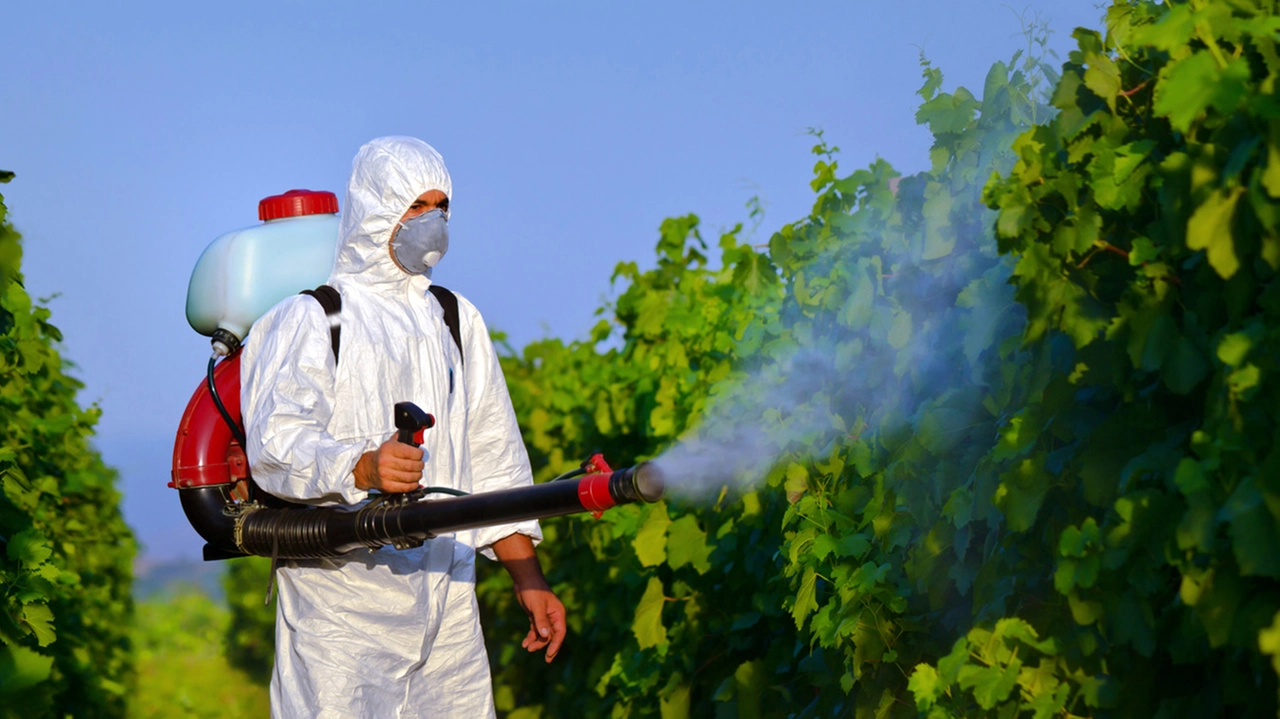 Un intervento di disinfestazione dopo un caso di Dengue