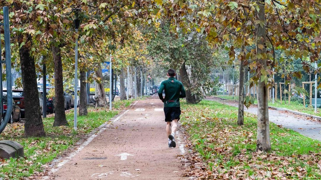 Il nuovo corso Sempione a Milano: trasformazioni e reazioni contrastanti tra ciclisti, pedoni e automobilisti. Punti di vista divergenti sulla riqualificazione della strada. Il nuovo corso Sempione a Milano: trasformazioni e reazioni contrastanti tra ciclisti, pedoni e automobilisti. Punti di vista divergenti sulla riqualificazione della strada.