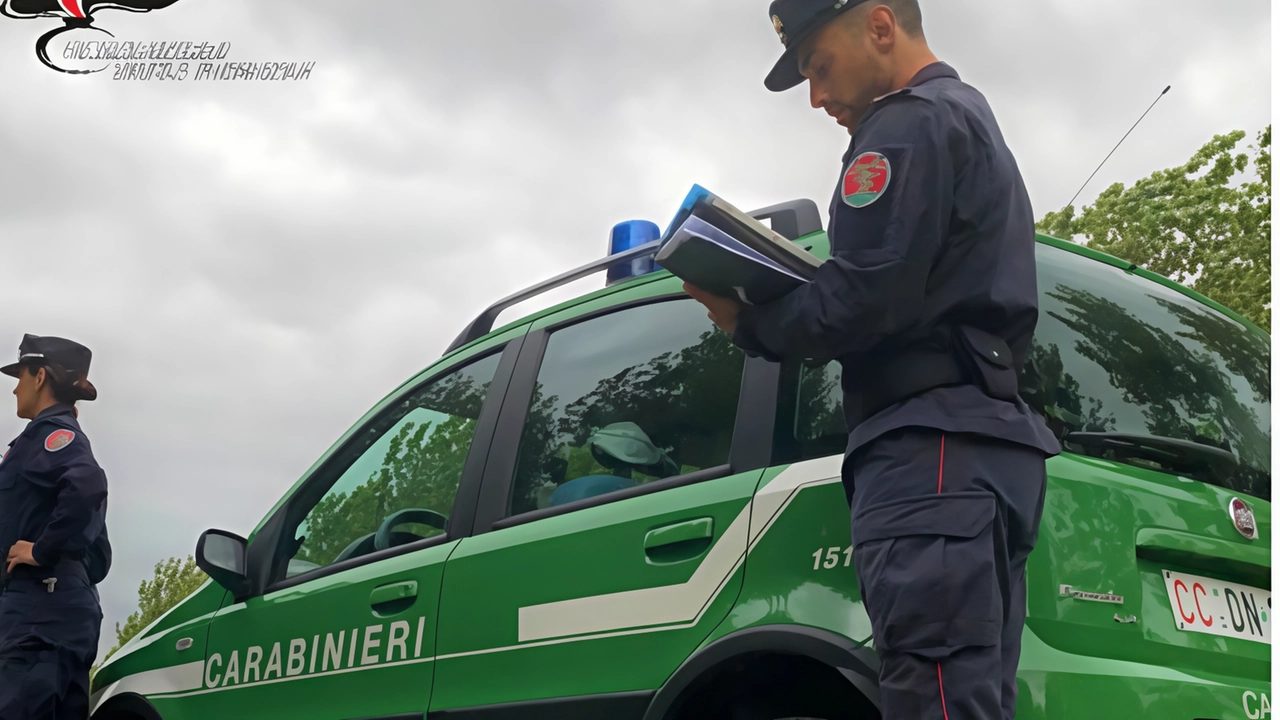 Coinvolti anche i Forestali nella tutela del patrimonio naturalistico Coinvolti anche i Forestali nella tutela del patrimonio naturalistico