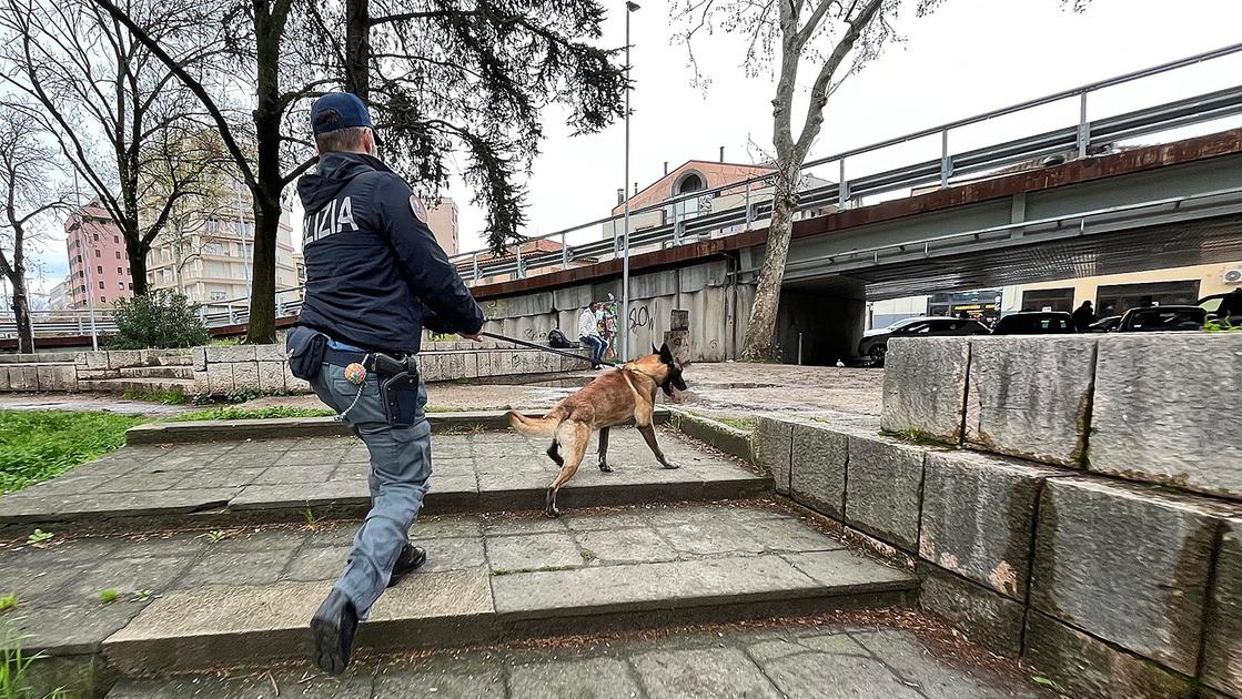 sequestro di droga a milano scoperto a cologno monzese un laboratorio clandestino 6 chili di cocaina ed eroina
