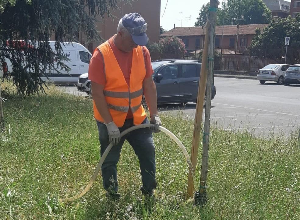 il piano del comune piante innaffiate a mano per salvarle dal caldo