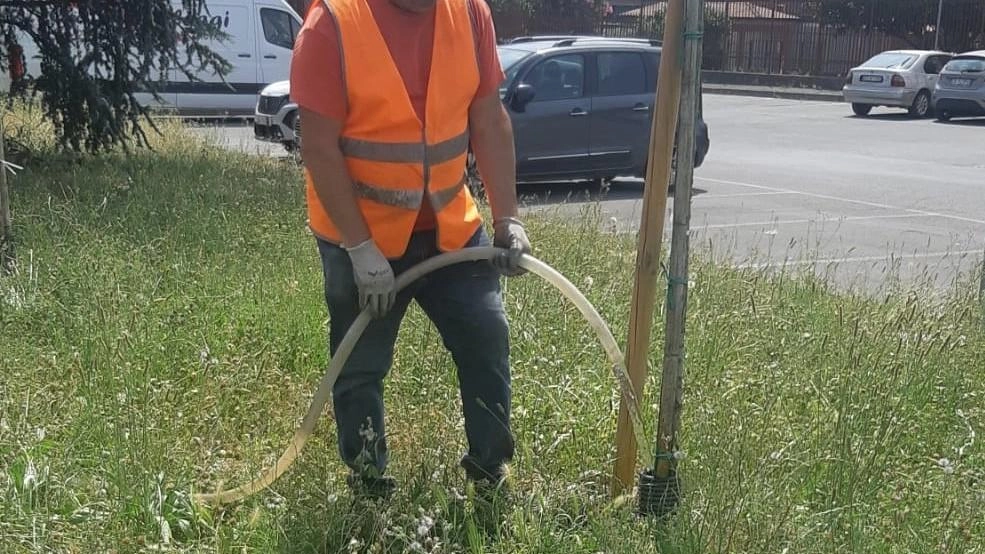 Il caldo torrido mette a rischio il patrimonio arboreo e Vimodrone corre ai ripari: dove non c’è impianto d’irrigazione,... Il caldo torrido mette a rischio il patrimonio arboreo e Vimodrone corre ai ripari: dove non c’è impianto d’irrigazione,...