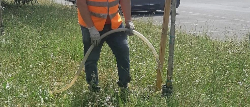 Il piano del Comune. Piante innaffiate a mano per salvarle dal caldo