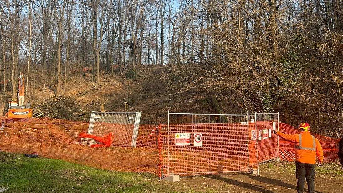 Al via il monitoraggio a Lesmo, l’allarme dei comitati green: la biodiversità è a rischio