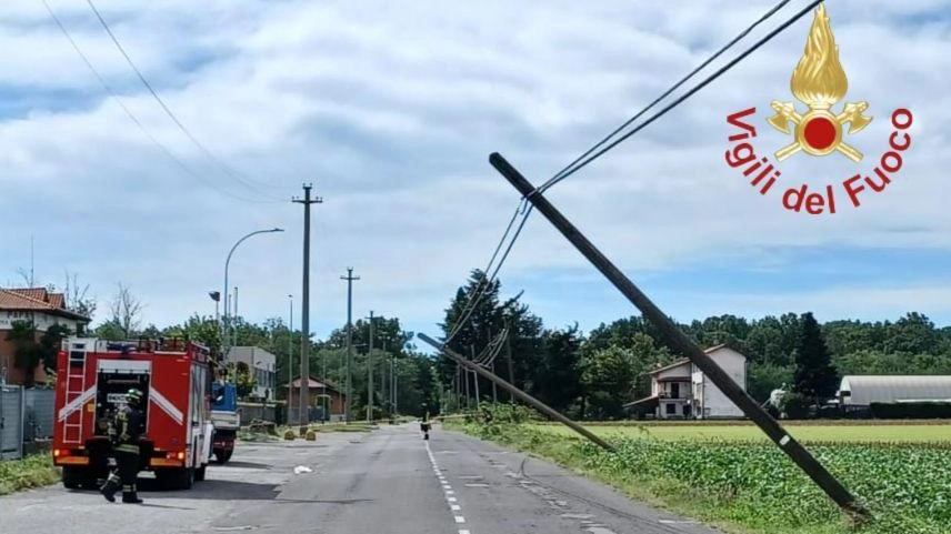 Il vento forte ha causato disagi nell'Alta Lombardia, in particolare nel Comasco, con interventi dei vigili del fuoco per piante cadute, danni stradali e pali divelti. Nessuna persona coinvolta. Il vento forte ha causato disagi nell'Alta Lombardia, in particolare nel Comasco, con interventi dei vigili del fuoco per piante cadute, danni stradali e pali divelti. Nessuna persona coinvolta.