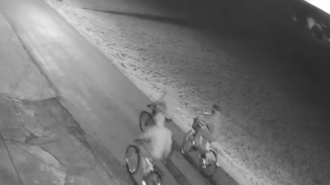 Sondrio, si spostavano di notte su biciclette che arraffavano. Trovate tracce ematiche e indumenti utilizzati dai responsabili. Sondrio, si spostavano di notte su biciclette che arraffavano. Trovate tracce ematiche e indumenti utilizzati dai responsabili.